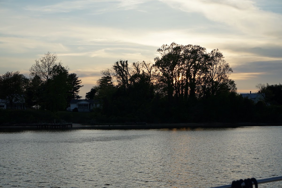 Coan River