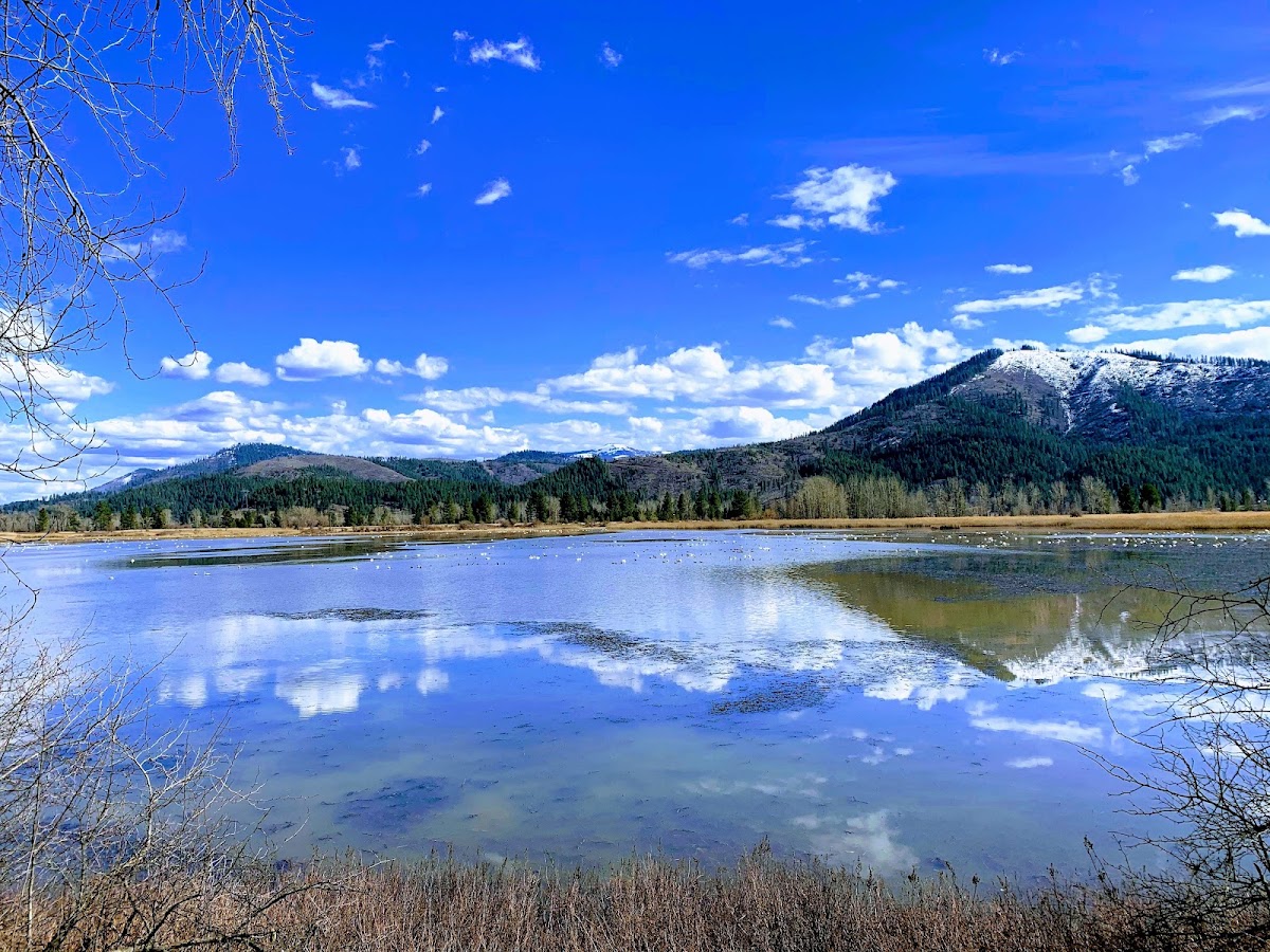 Killarney Lake