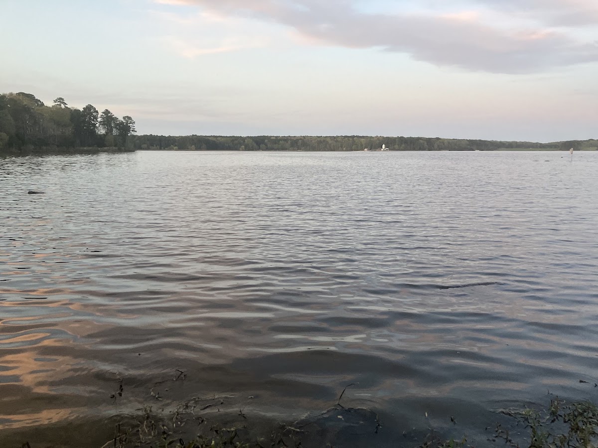 Lake Crabtree