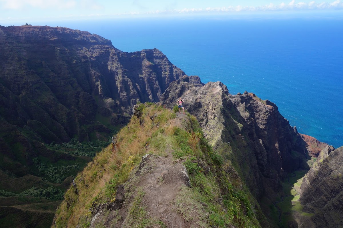 Awa'awapuhi Trail