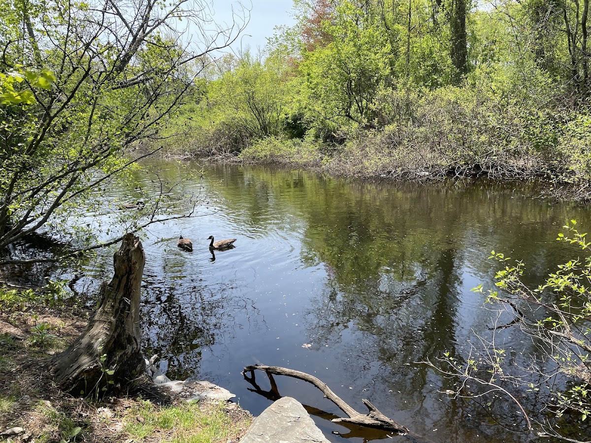 Riverside Park