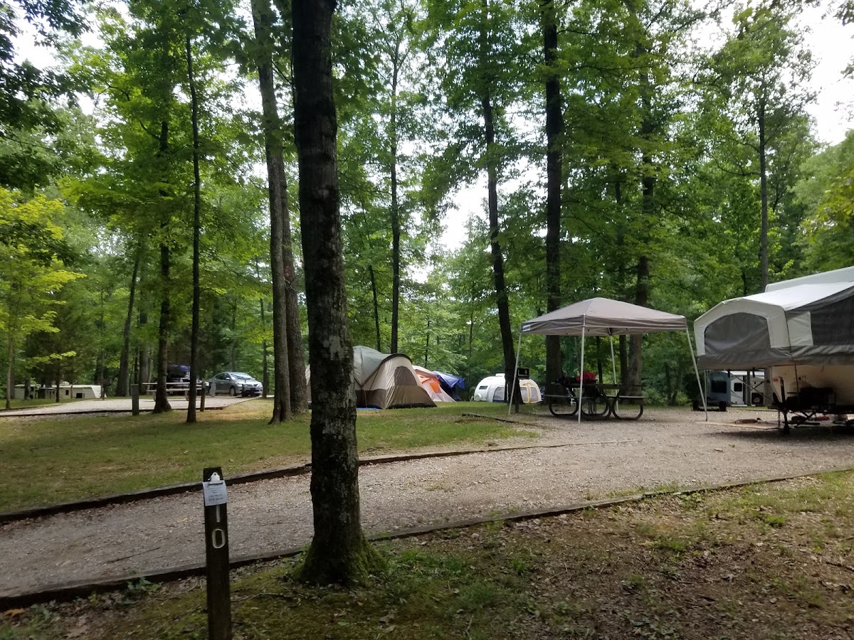 en:Standing Stone State Park