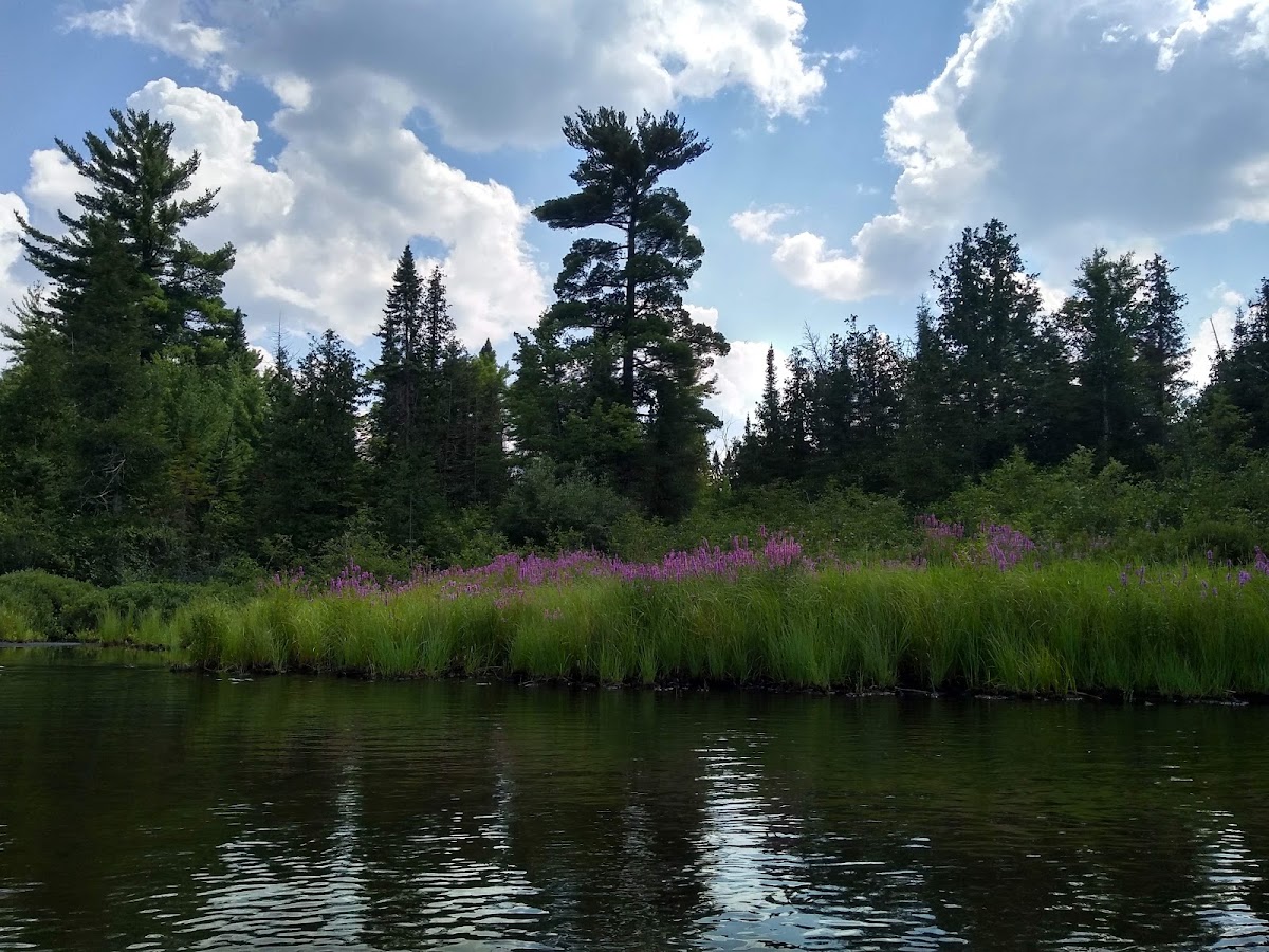 Au Sable River