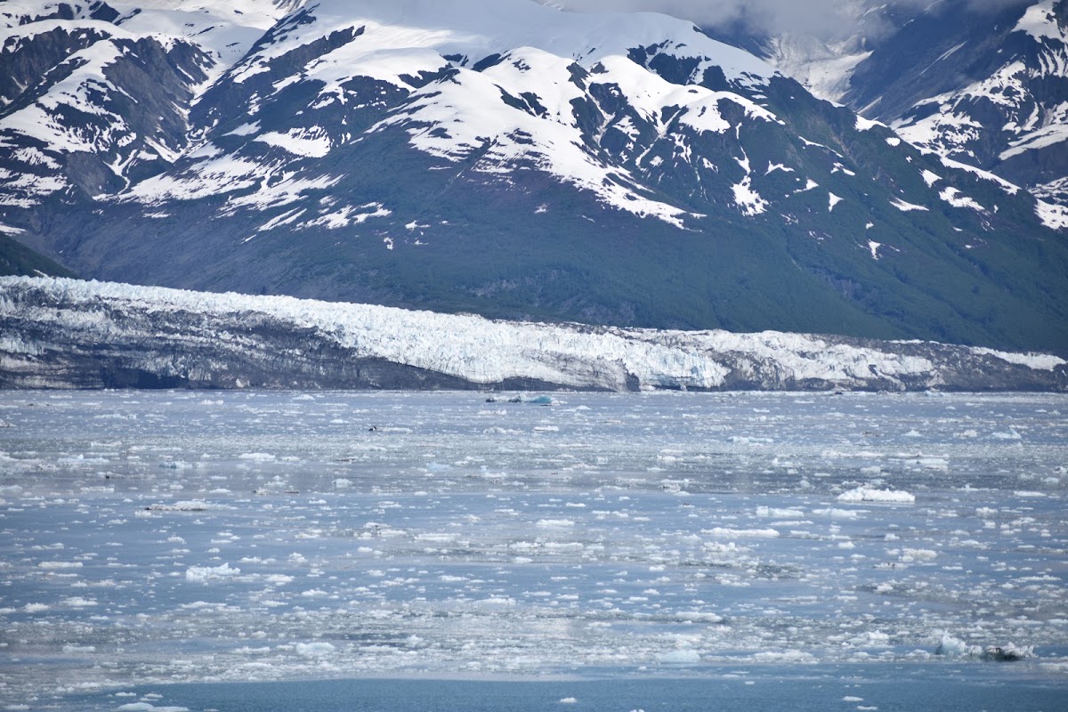 Turner Glacier