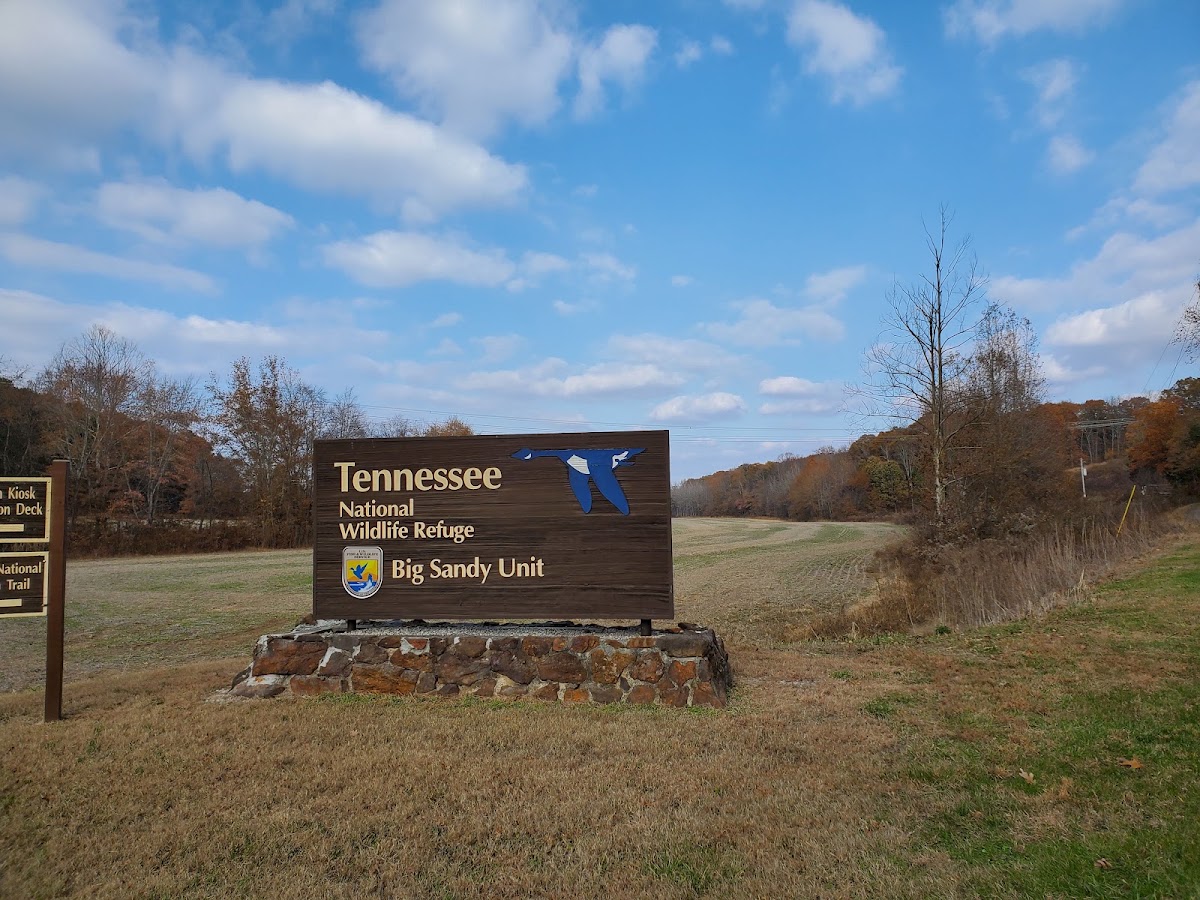Big Sandy Unit Tennessee National Wildlife Refuge