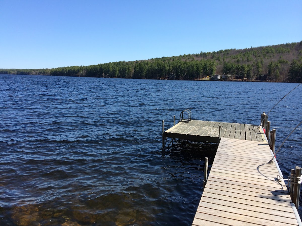 Moose Pond