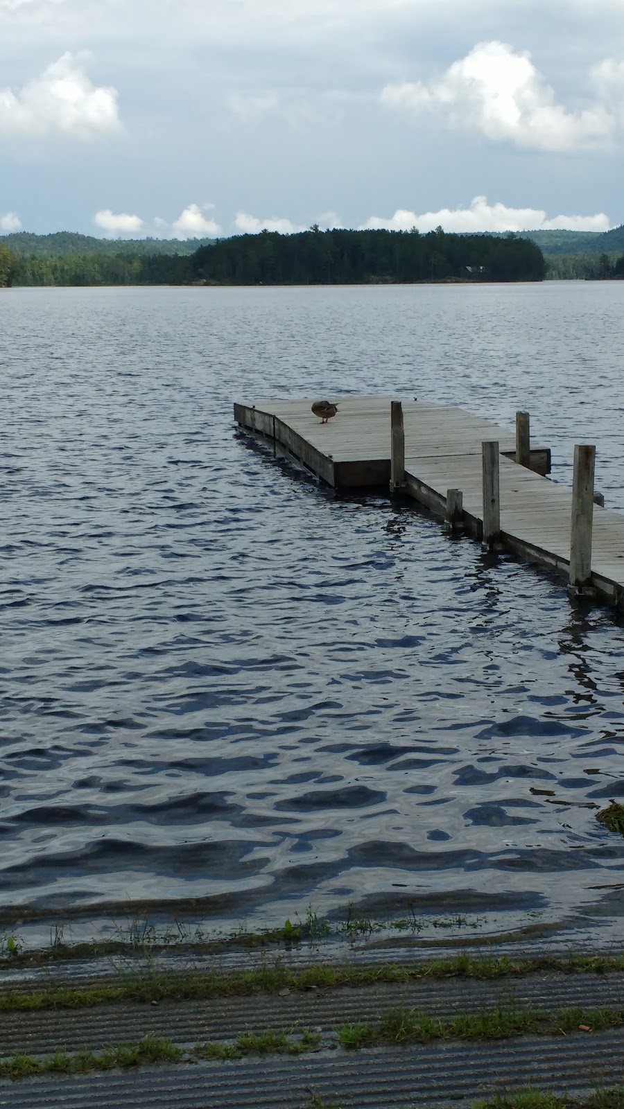 Moxie Pond