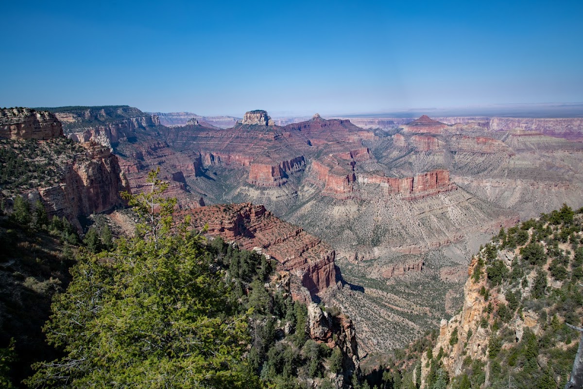 Cape Final Trail
