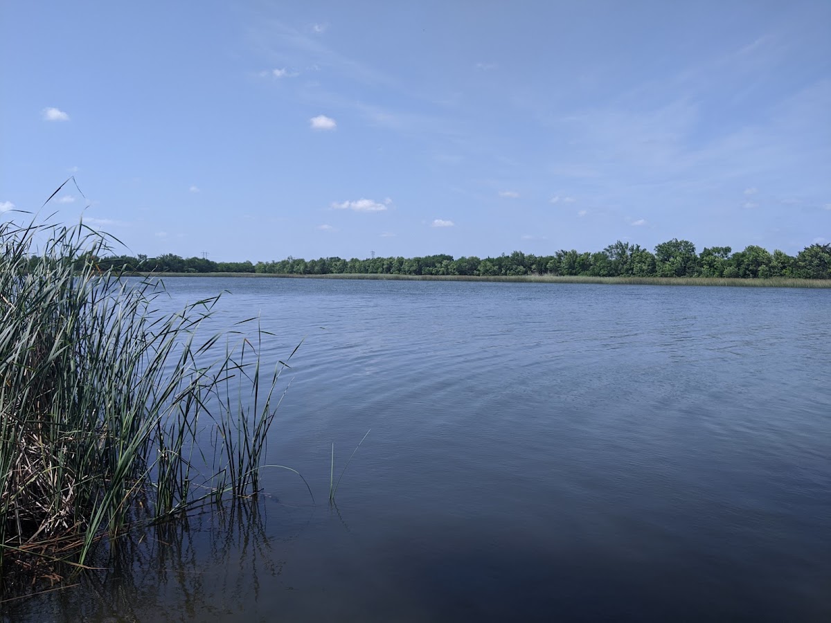 City Lake