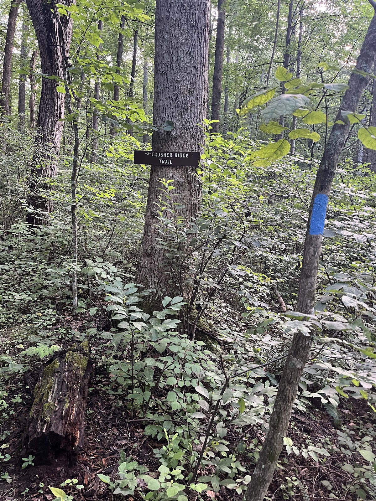 Crusher Ridge Trail