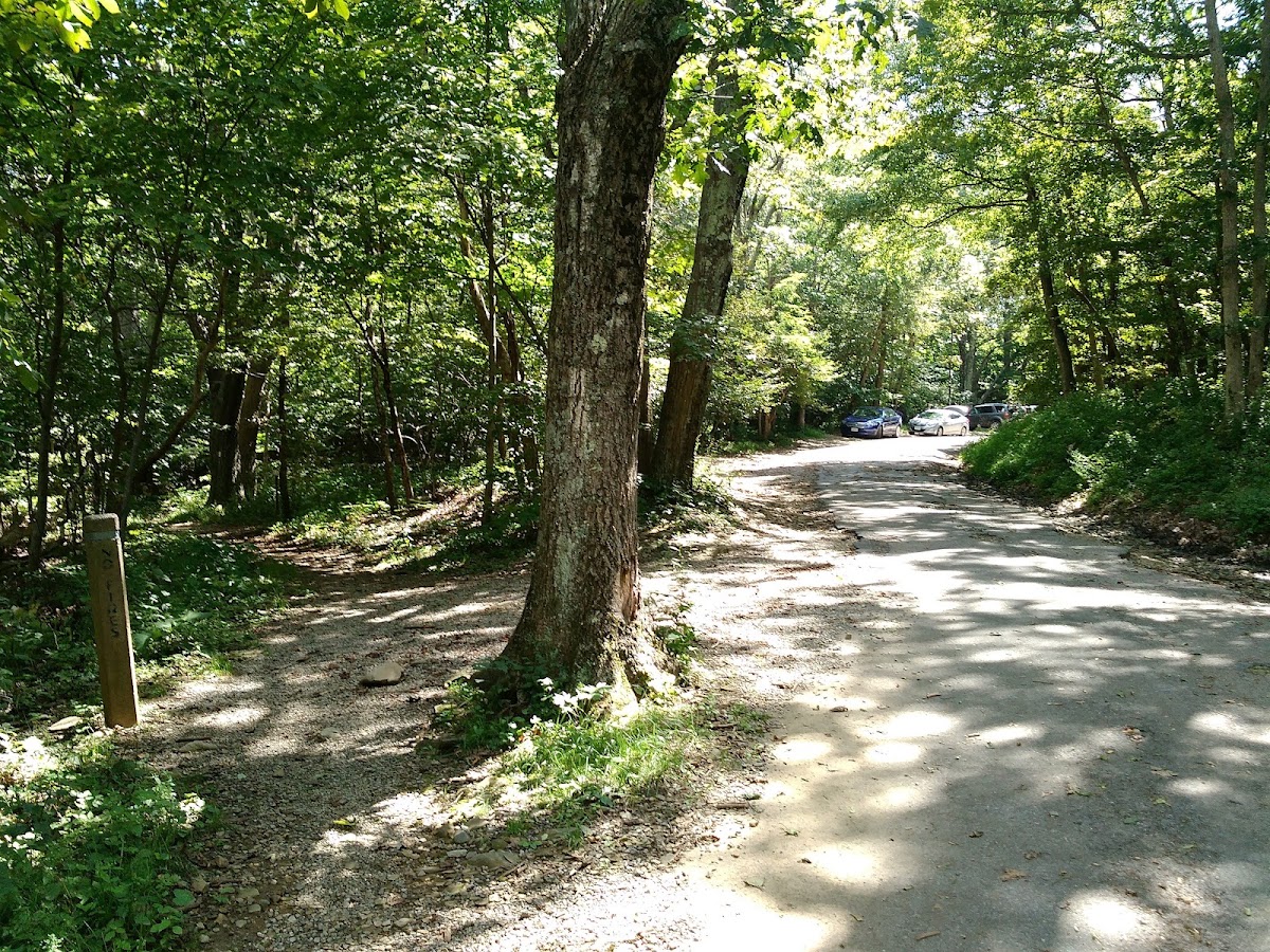 Red Gate Fire Road