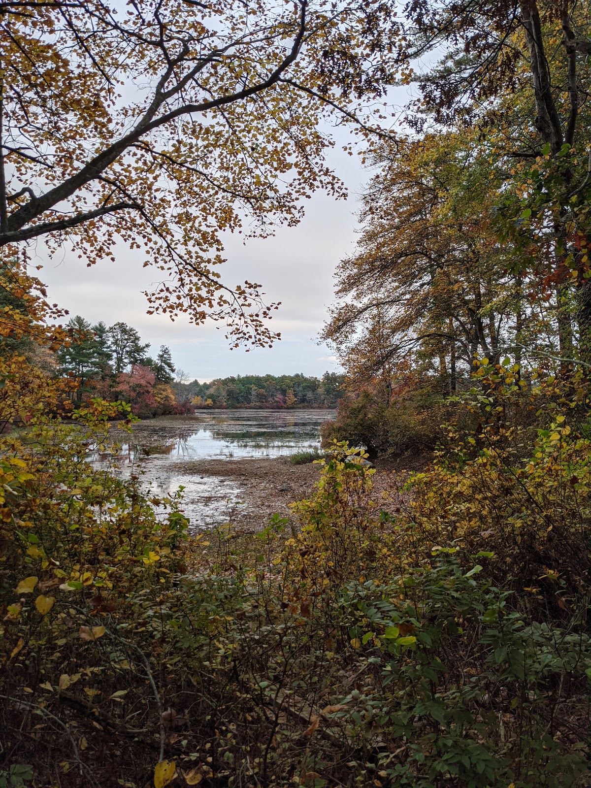 Muddy Pond Wilderness Preserve
