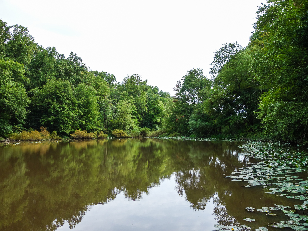 Lake Surprise