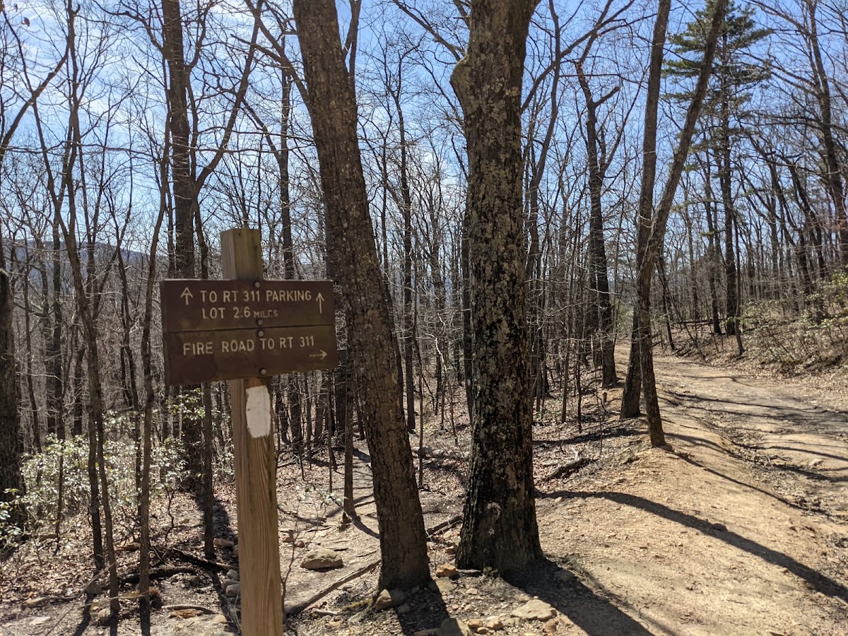 McAfee's Knob Trail