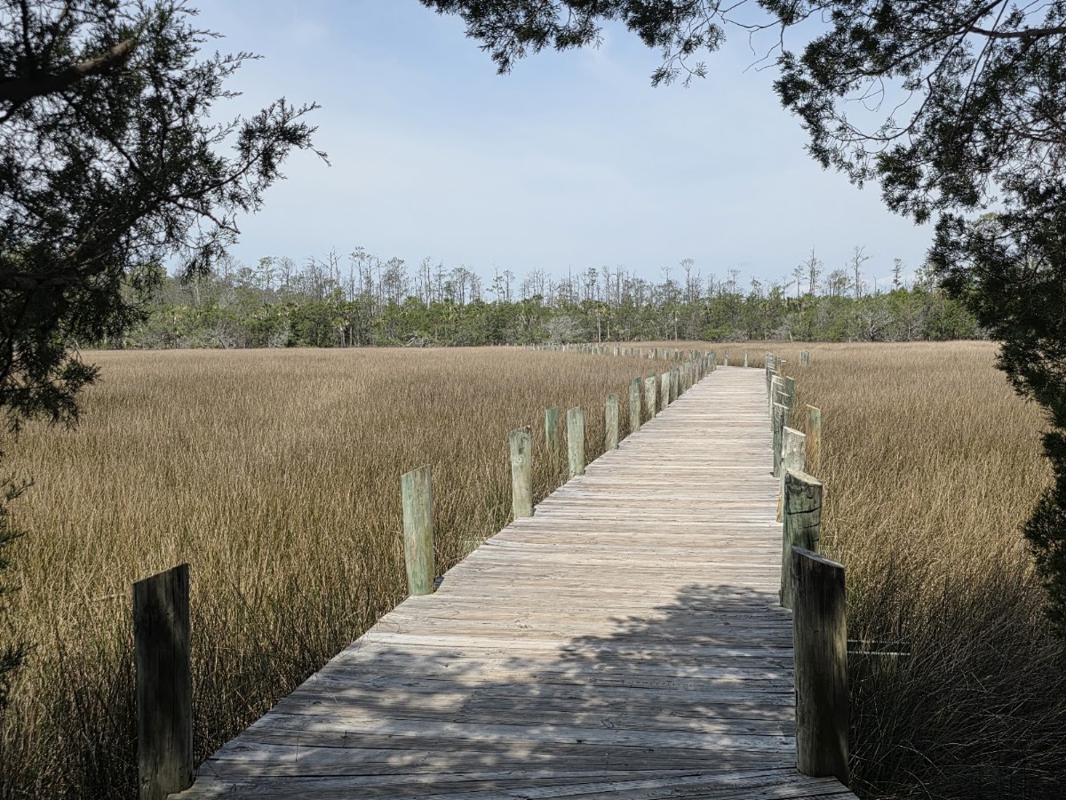 Palmetto Island County Park
