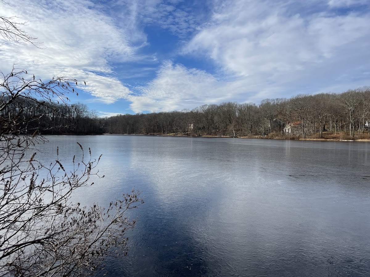 Mono Pond