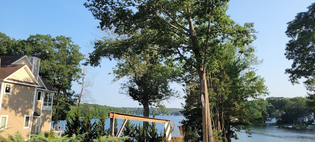 Coventry Lake