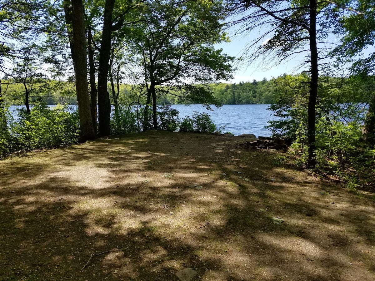 Wilbur Pond