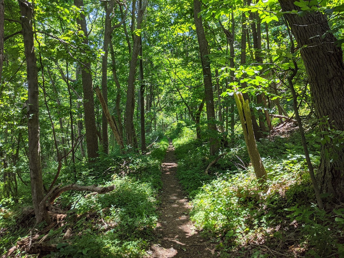 Fox Hollow Trail