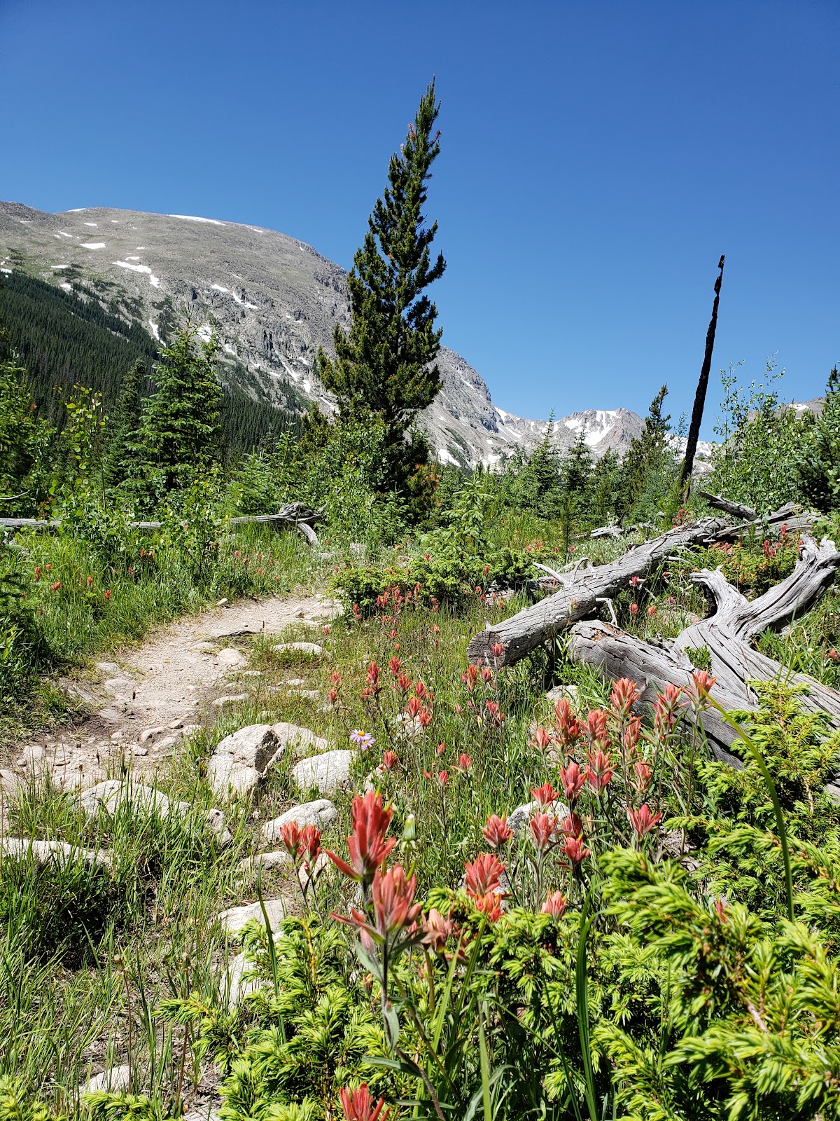 Bluebird Lake Trail