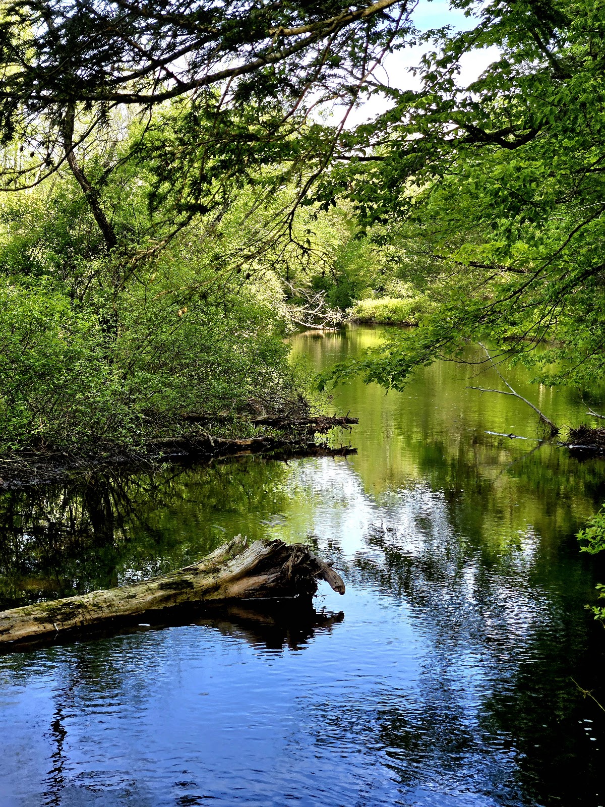 Wallenpaupack Creek West Branch