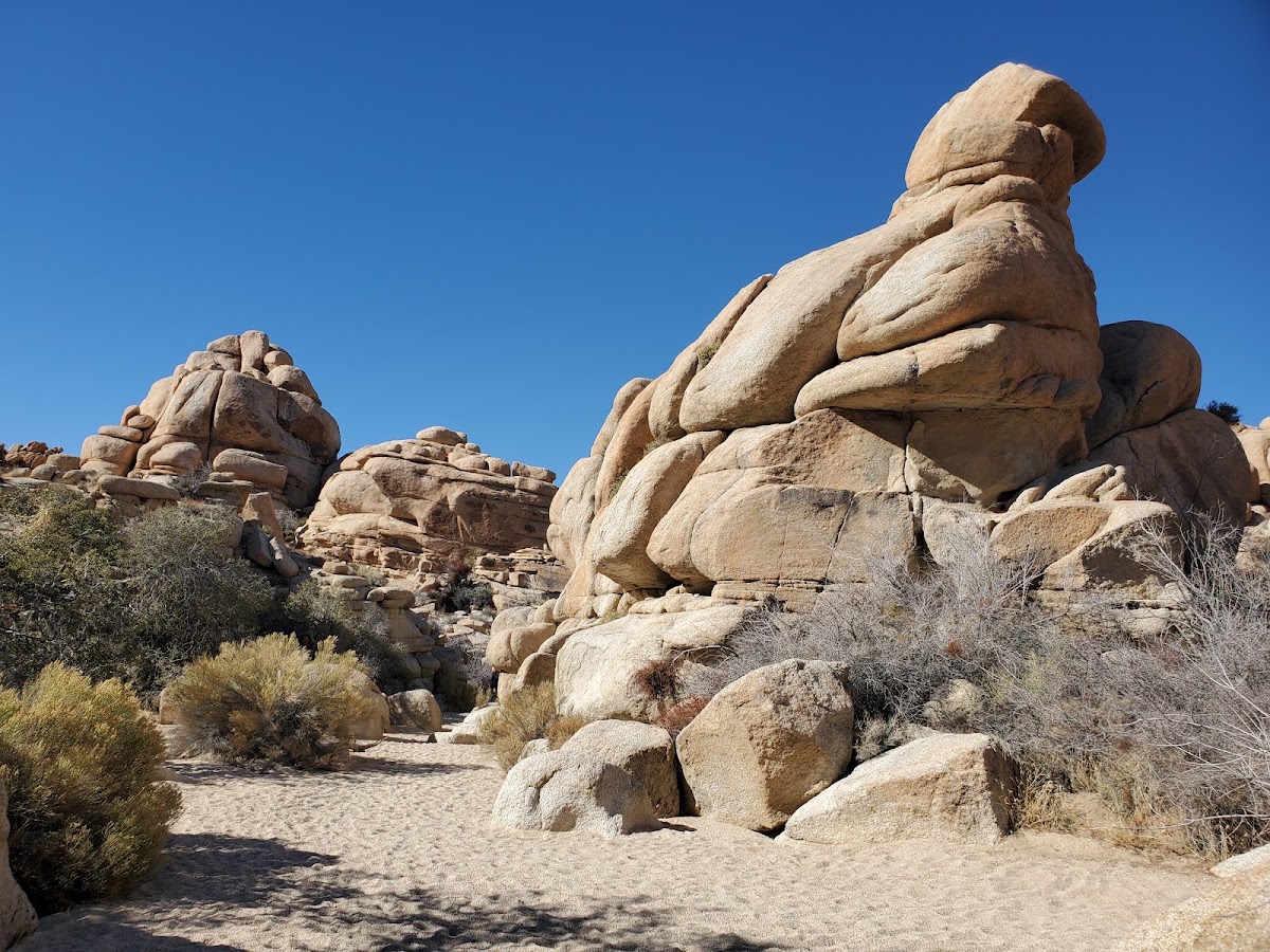 Willow Hole Trail
