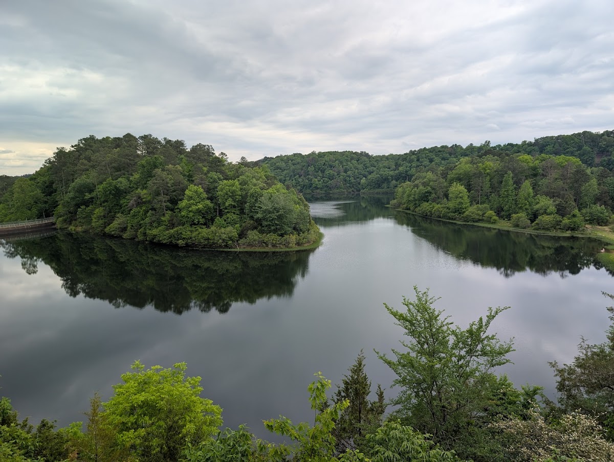 Harris Lake