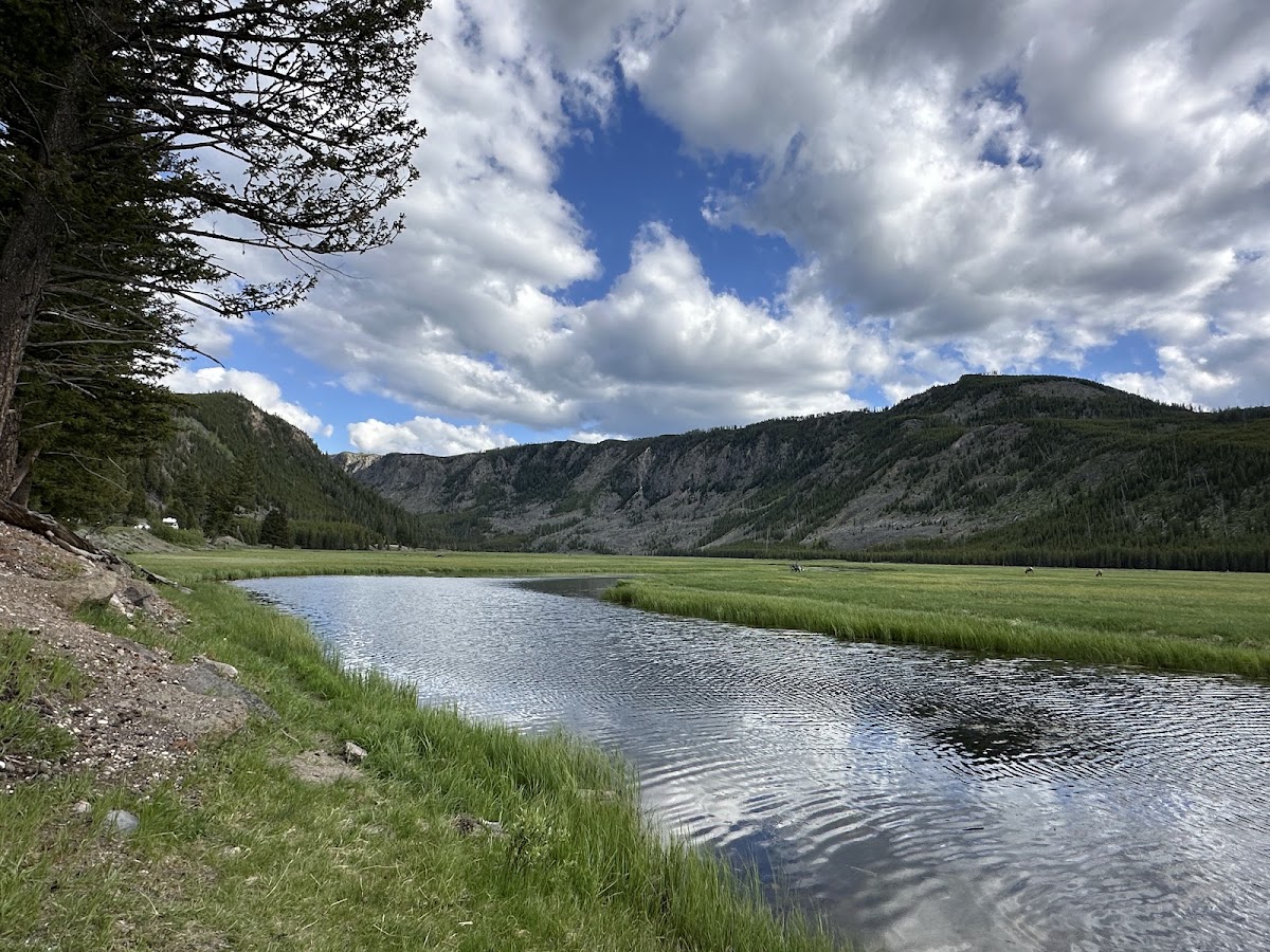 Madison River