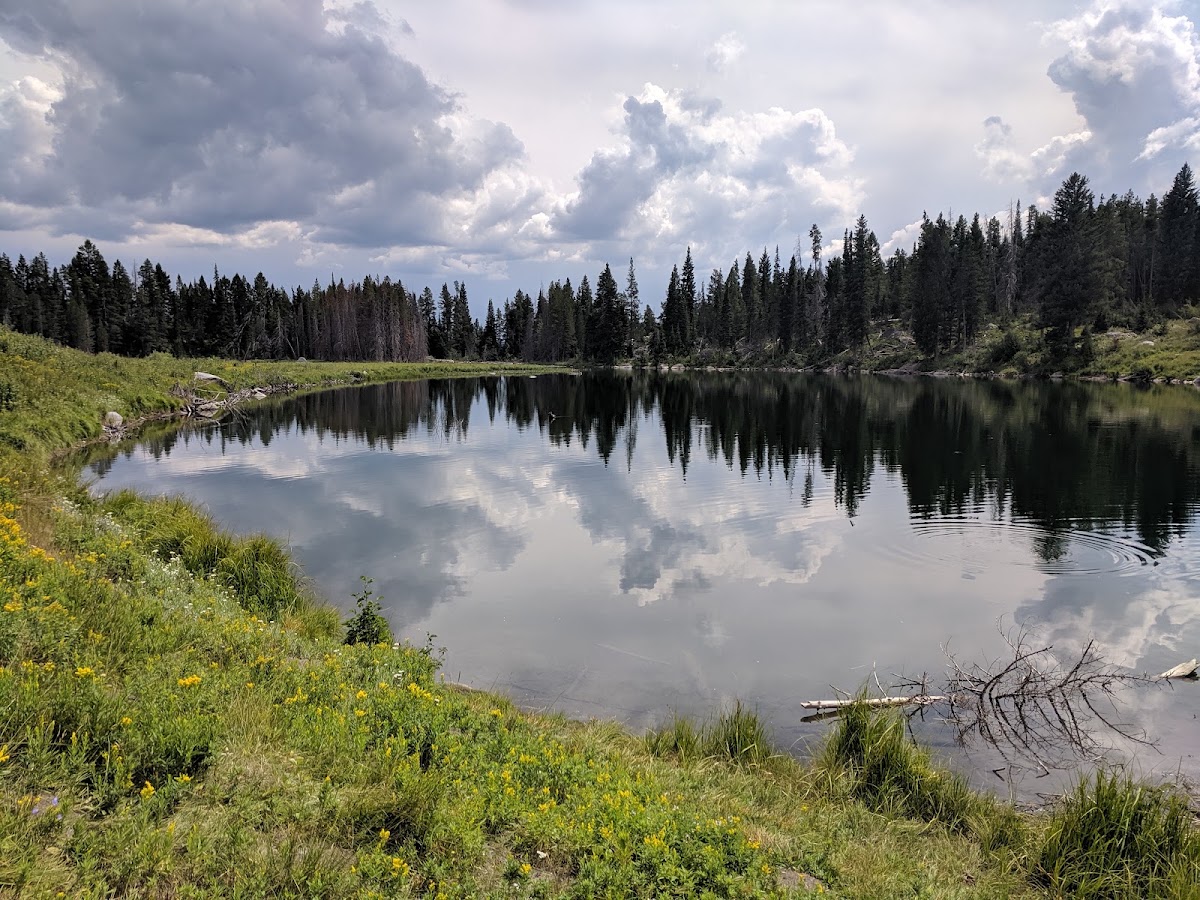 Trapper Lake
