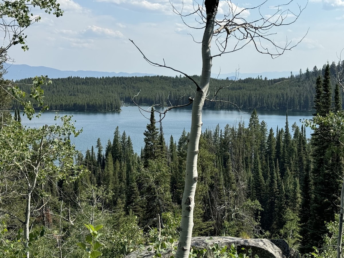 Taggart Lake Loop Trail