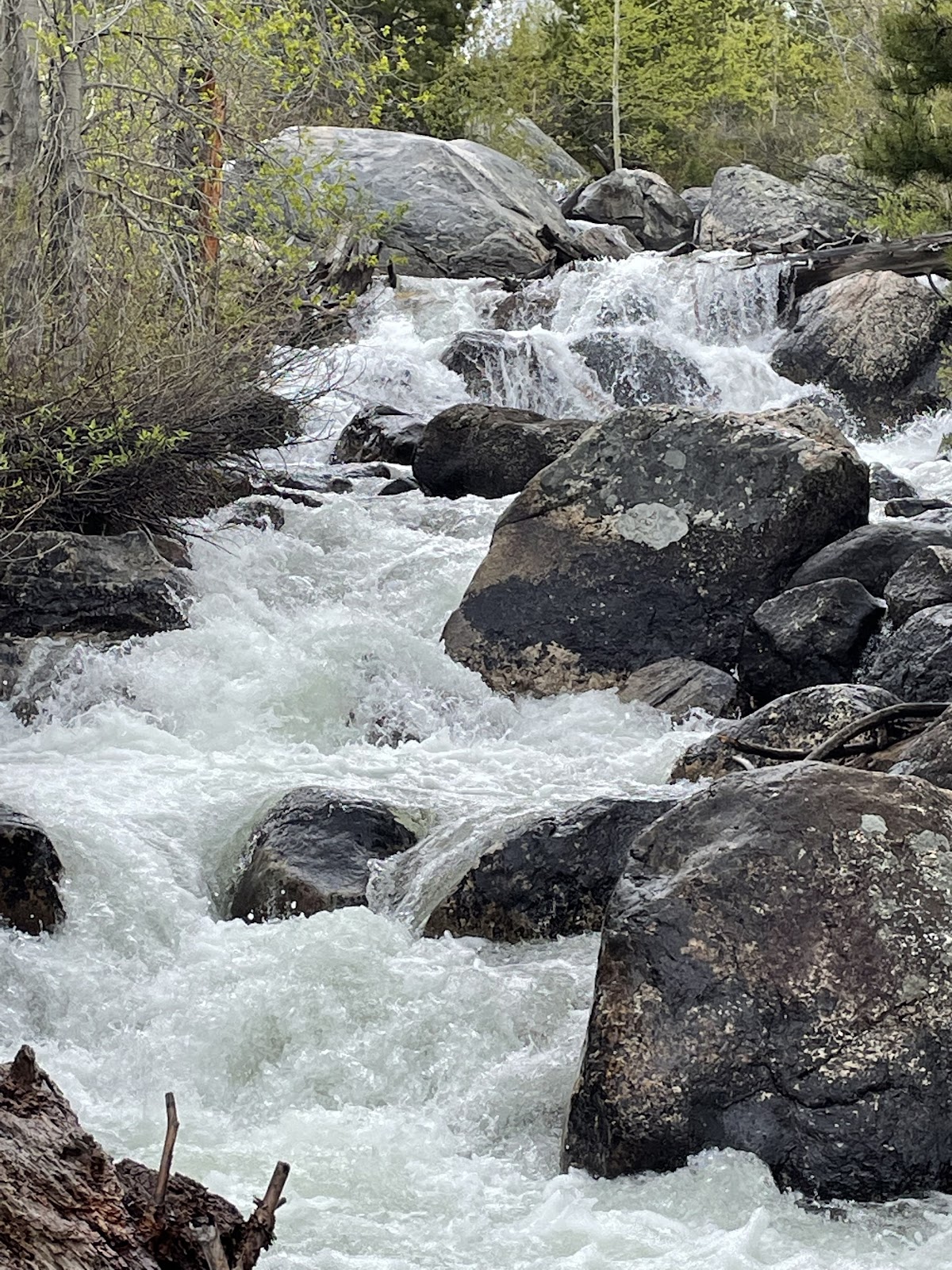 Taggart Creek