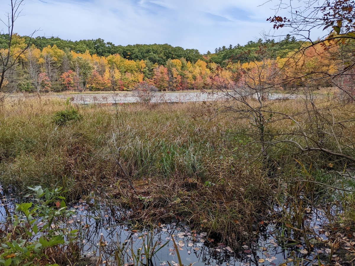 Sprague Upper Reservoir