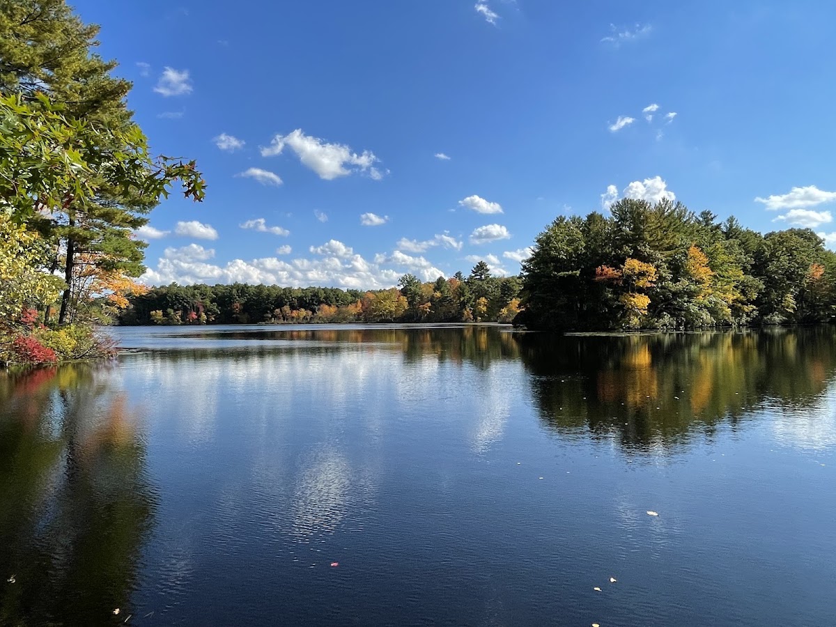 Tarkiln Pond