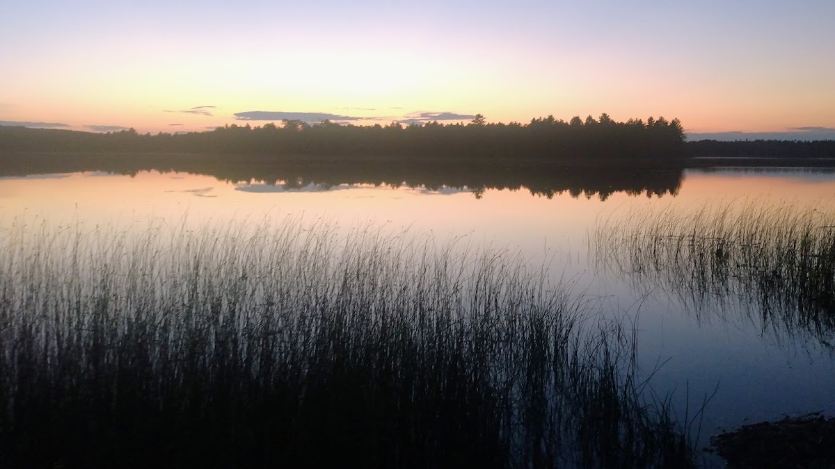 Wakeley Lake