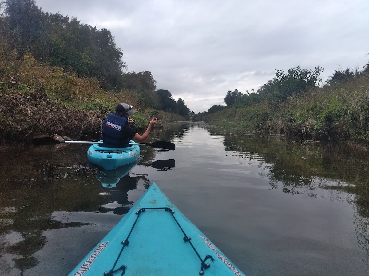 Mustang Bayou