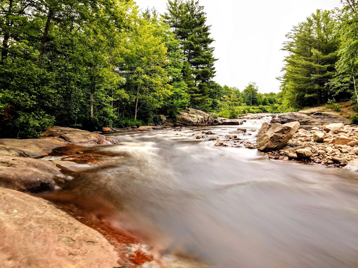 Otter Creek