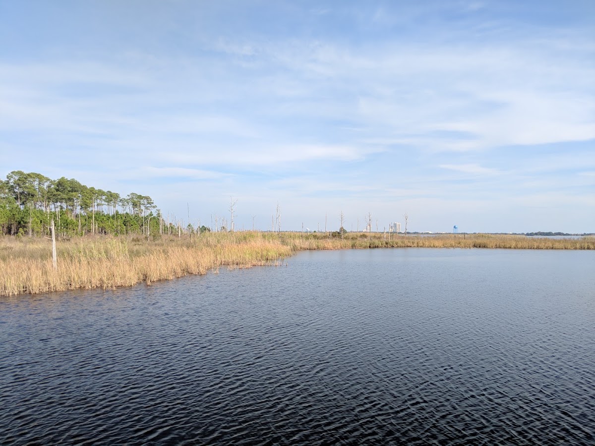 Shelby Lake
