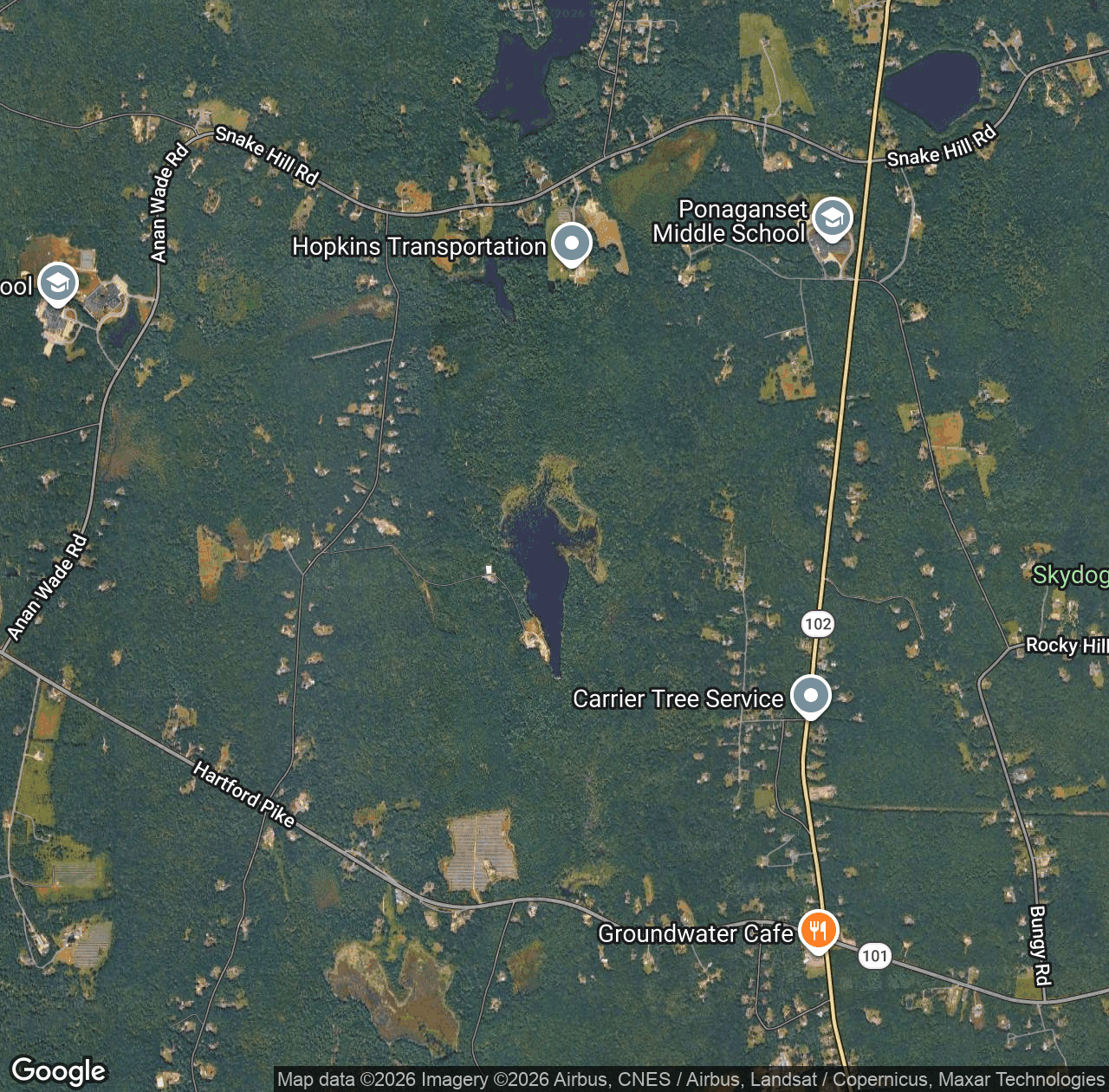 Brush Meadow Swamp