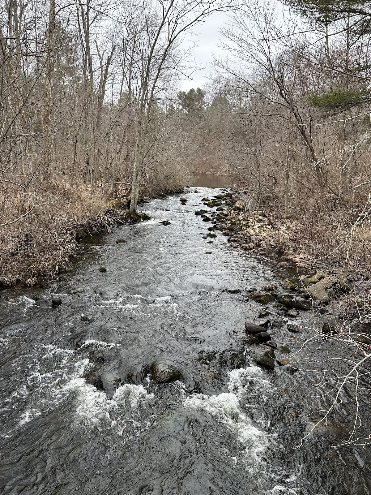 Blackledge River