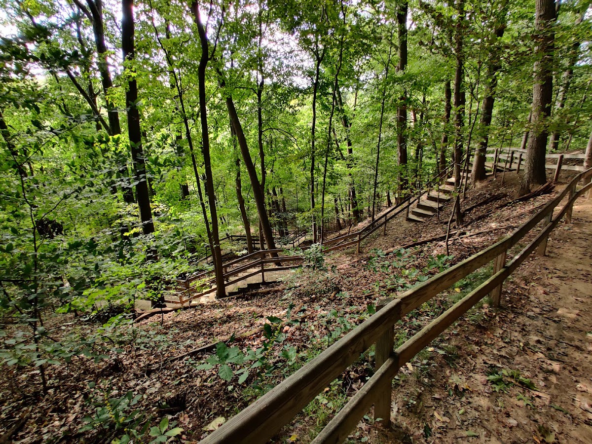Deer Run Trail