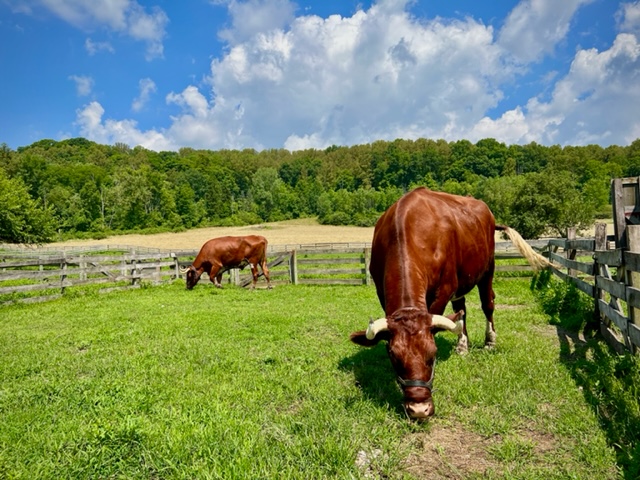 Hale Farm Connector