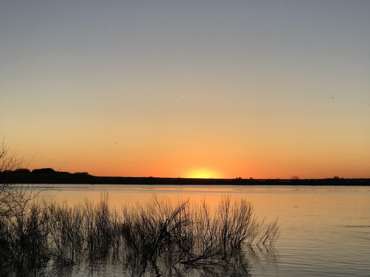 Brady Creek Reservoir