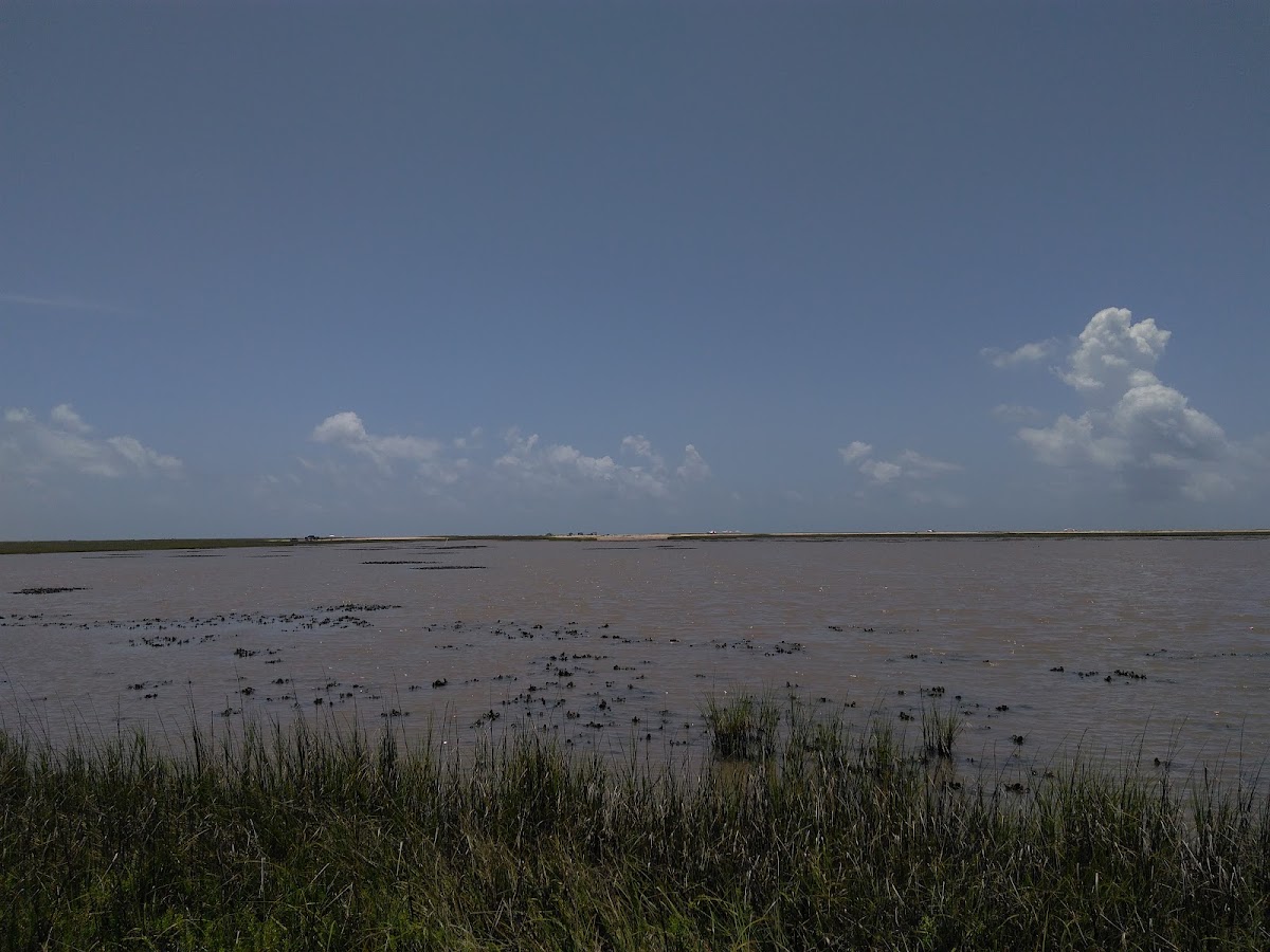 Cedar Lakes