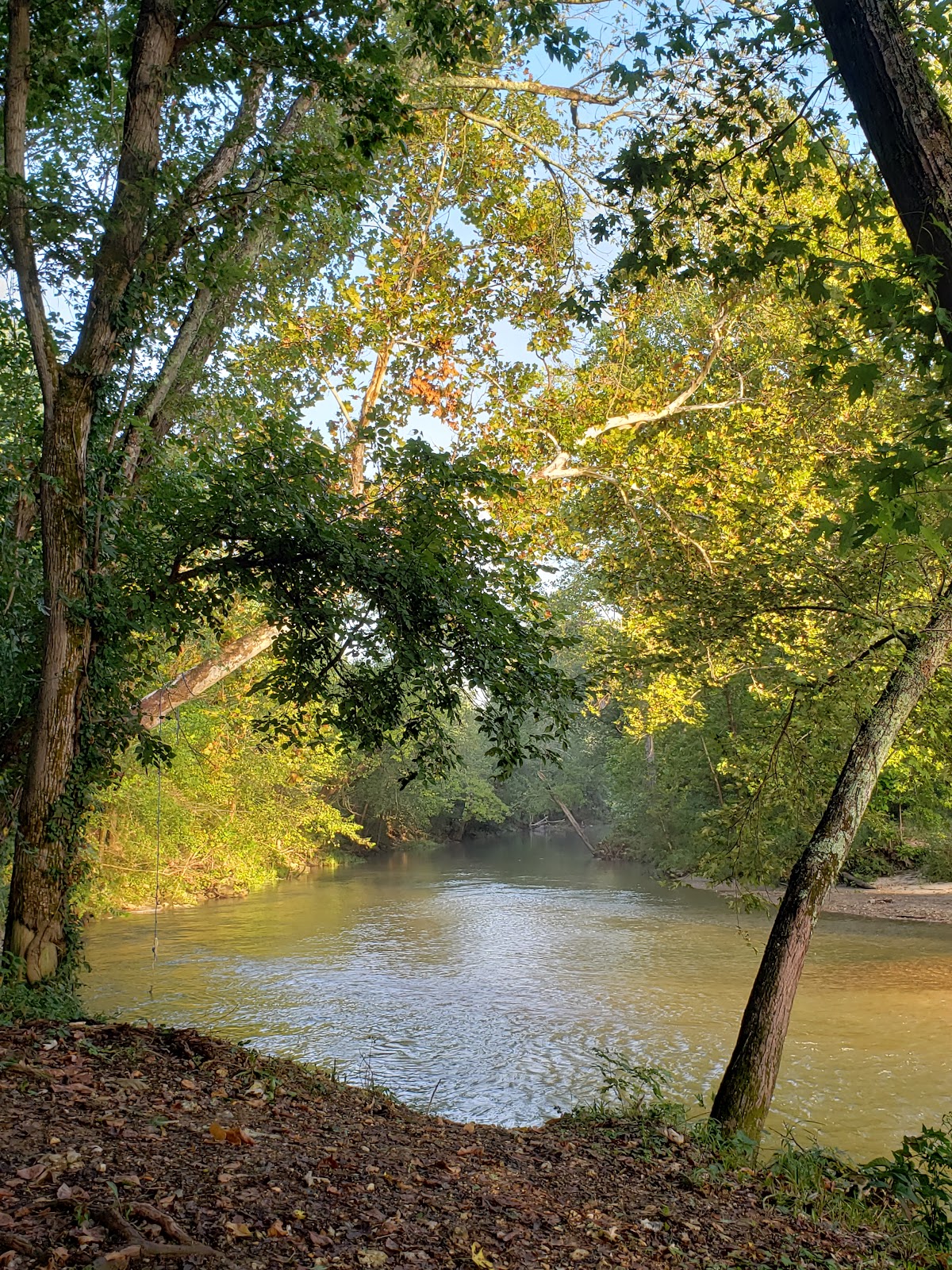 Little Piney Creek