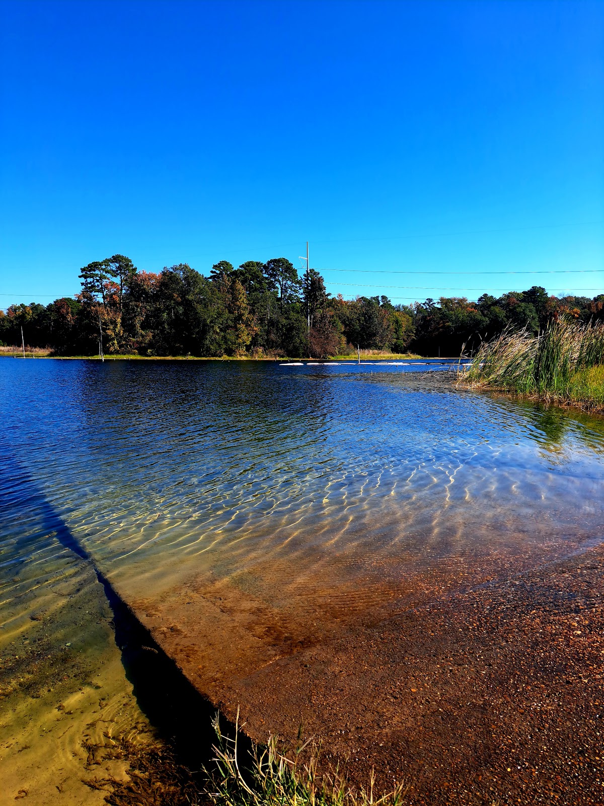 Brandy Branch Reservoir