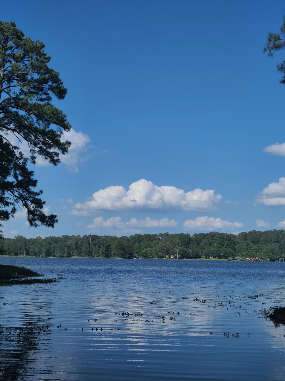 Toledo Bend Reservoir