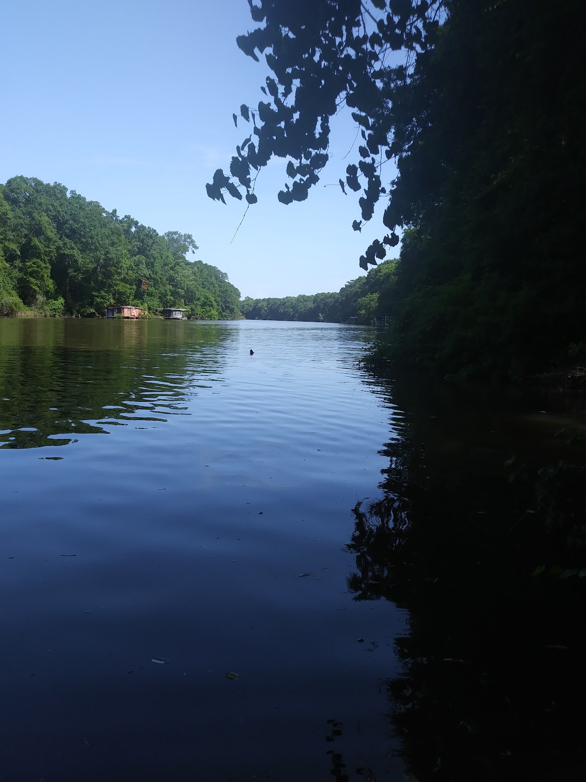 Briar Lake