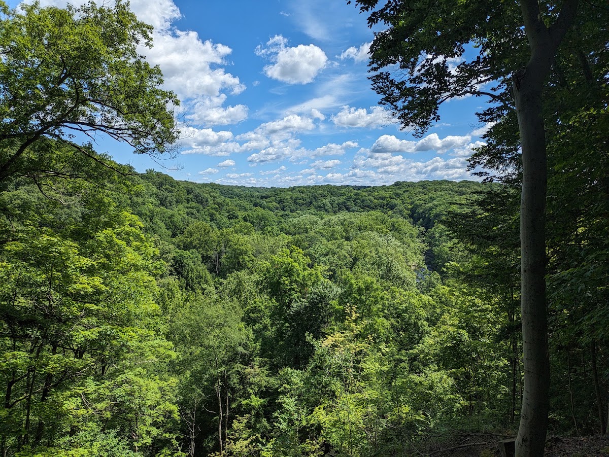 Tinker's Creek Gorge Scenic Overlook