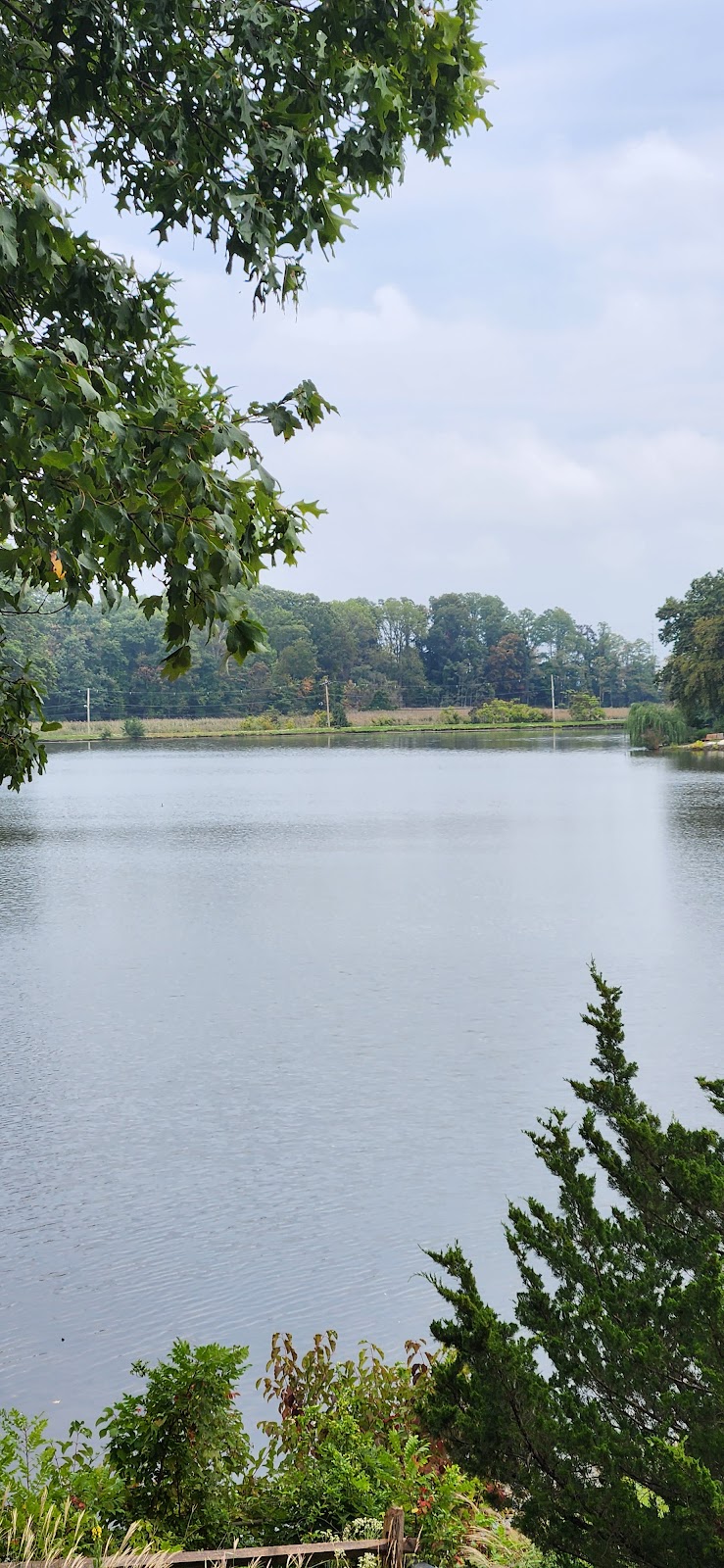 Shadow Lake
