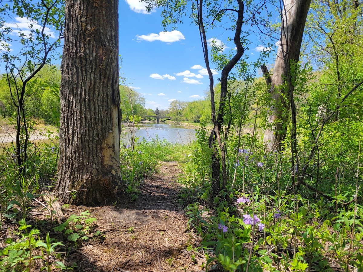 Cottonwood River